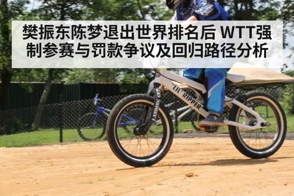 樊振东陈梦退出世界排名后 WTT强制参赛与罚款争议及回归路径分析